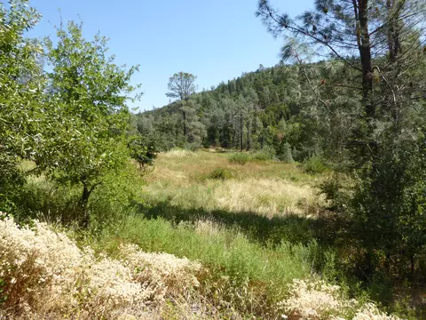 11459 Angler Ave, Whitmore, CA 96096 photo 9