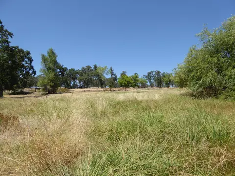 11459 Angler Ave, Whitmore, CA 96096 photo 11