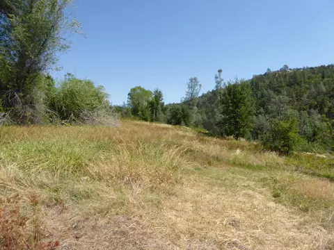 11459 Angler Ave, Whitmore, CA 96096 photo 8