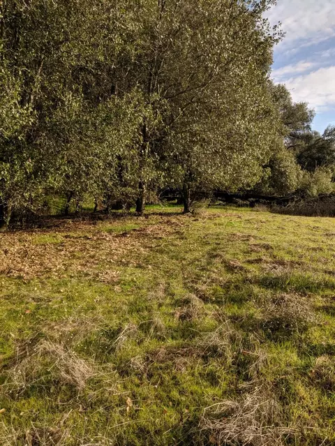 19390 Pine Creek Rd, Red Bluff, CA 96080 photo 9