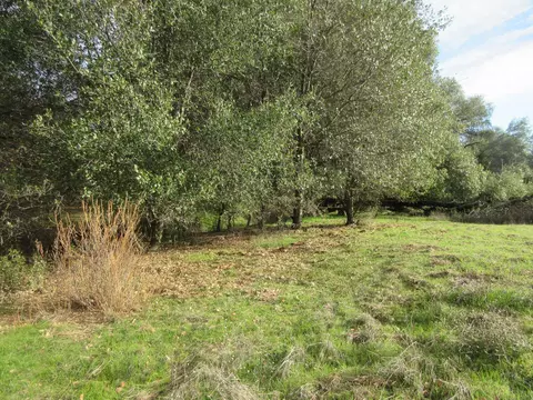 19390 Pine Creek Rd, Red Bluff, CA 96080 photo 7