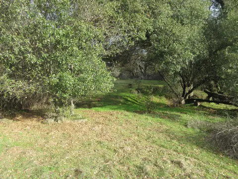19390 Pine Creek Rd, Red Bluff, CA 96080 photo 4
