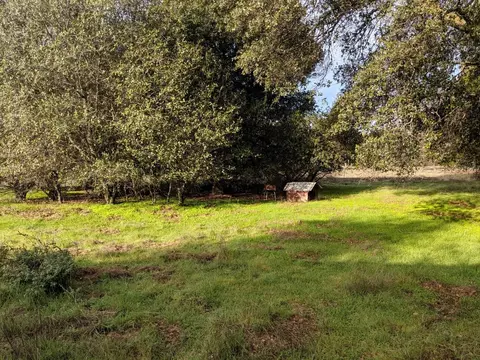 19390 Pine Creek Rd, Red Bluff, CA 96080 photo 3
