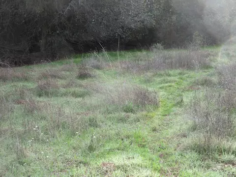 19390 Pine Creek Rd, Red Bluff, CA 96080 photo 17