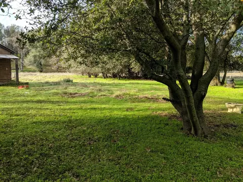19390 Pine Creek Rd, Red Bluff, CA 96080 photo 5