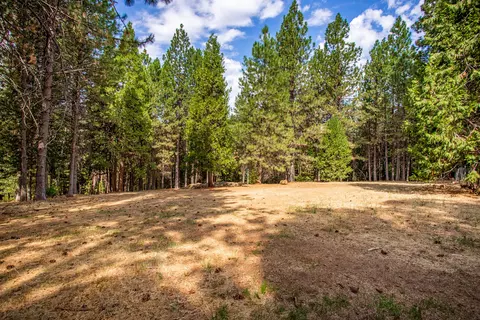 14938 Phillips Rd, Oak Run, CA 96069 photo 25