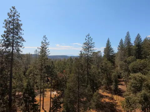 15936 Valhalla Dr, Oak Run, CA 96069 photo 56