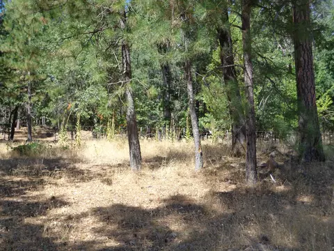 15936 Valhalla Dr, Oak Run, CA 96069 photo 49