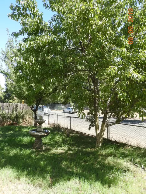 1117 4th St, Redding, CA 96002 photo 28