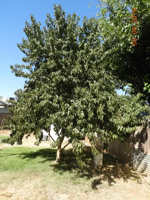 1117 4th St, Redding, CA 96002 photo 32
