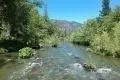441 Creekside Ln, Hyampom, CA 96046 photo 31