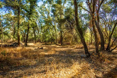 6699 Airport Rd, Redding, CA 96002 photo 7