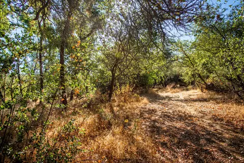 6699 Airport Rd, Redding, CA 96002 photo 11