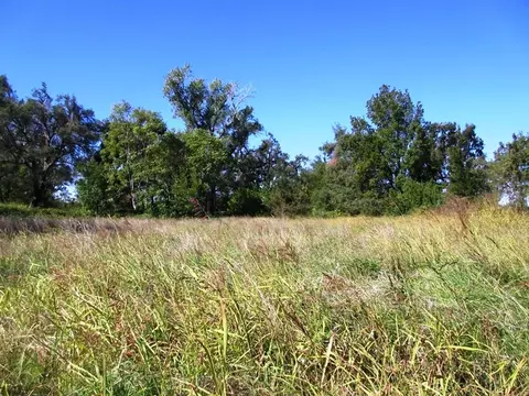 6967 Weeks Rd, Redding, CA 96002 photo 26