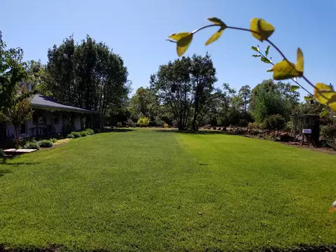 7200 Pine Bluff Dr, Shingletown, CA 96088 photo 81