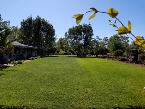 7200 Pine Bluff Dr, Shingletown, CA 96088 photo 16
