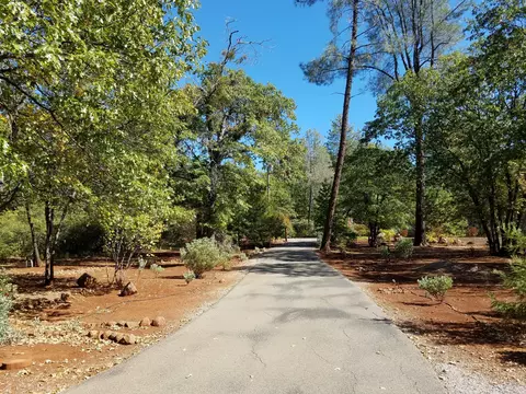 7200 Pine Bluff Dr, Shingletown, CA 96088 photo 86