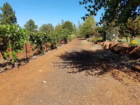 7200 Pine Bluff Dr, Shingletown, CA 96088 photo 77