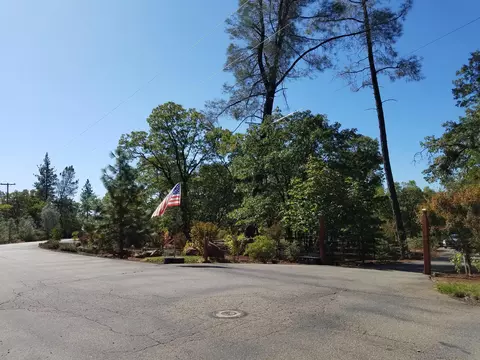 7200 Pine Bluff Dr, Shingletown, CA 96088 photo 87