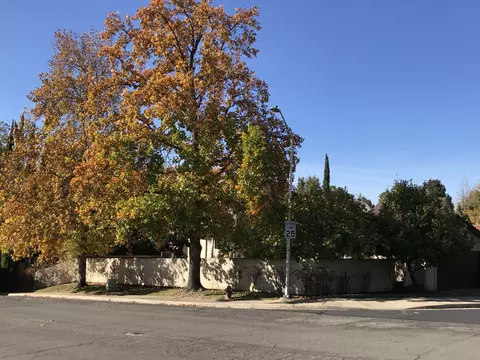 698 Cream Bush Way, Redding, CA 96003 photo 20