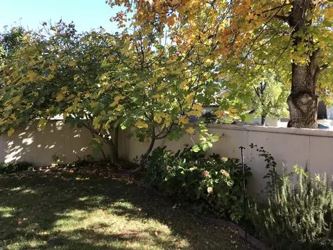 698 Cream Bush Way, Redding, CA 96003 photo 16