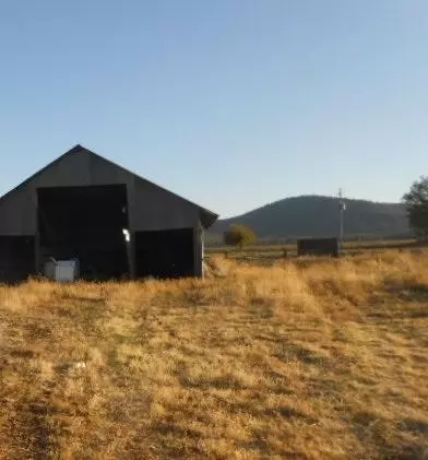 41249 Brown Rd, Fall River Mills, CA 96028 photo 4
