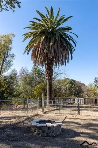 1247 Aloha Ct, Red Bluff, CA 96080 photo 4