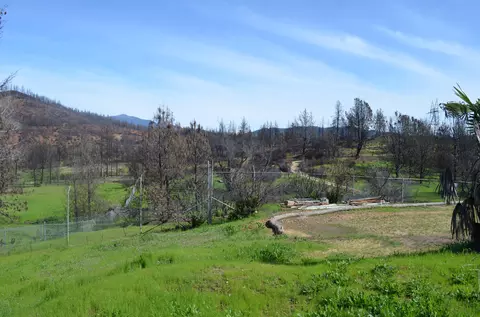 11588 Wieland St, Redding, CA 96001 photo 1