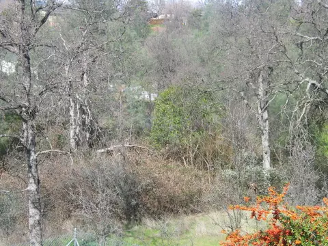 3882 Patterson Ct, Redding, CA 96003 photo 31