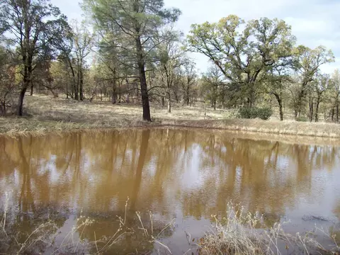 16300 Maynard Rd, Red Bluff, CA 96080 photo 25