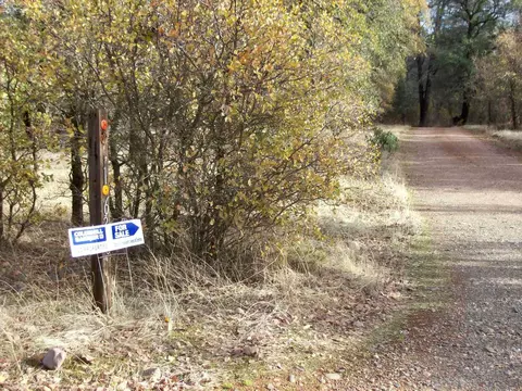 16300 Maynard Rd, Red Bluff, CA 96080 photo 15