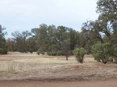 16300 Maynard Rd, Red Bluff, CA 96080 photo 6