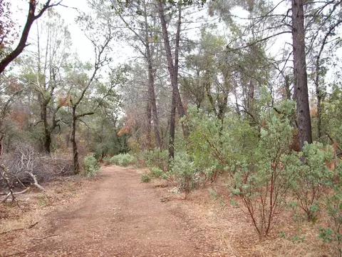 16300 Maynard Rd, Red Bluff, CA 96080 photo 24