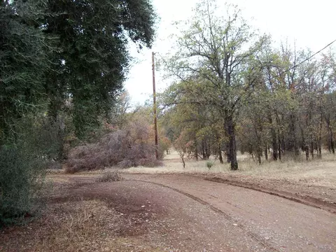 16300 Maynard Rd, Red Bluff, CA 96080 photo 16
