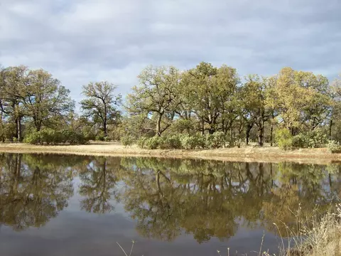 16300 Maynard Rd, Red Bluff, CA 96080 photo 28
