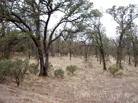 16300 Maynard Rd, Red Bluff, CA 96080 photo 14