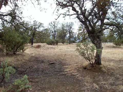 16300 Maynard Rd, Red Bluff, CA 96080 photo 12
