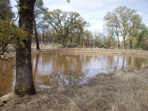 16300 Maynard Rd, Red Bluff, CA 96080 photo 26