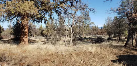 40625 Cascade, Fall River Mills, CA 96028 photo 3