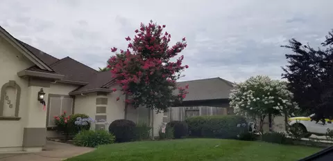 1636 Spanish Bay Dr, Redding, CA 96003 photo 29