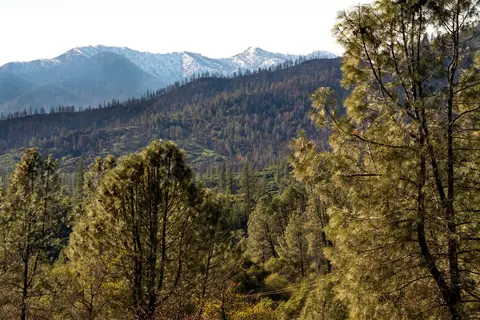 17038 Walker Mine Rd, Redding, CA 96003 photo 17
