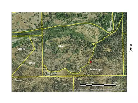 7007 Clover View Rd, Anderson, CA 96007 photo 43