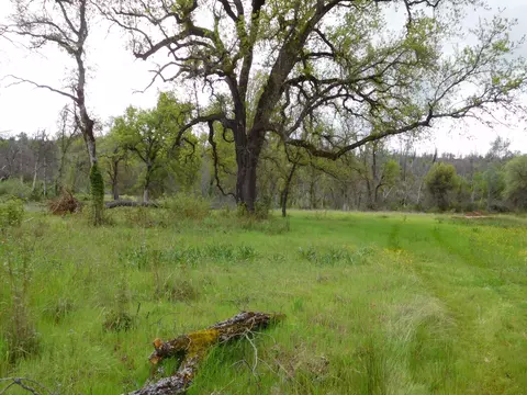 7007 Clover View Rd, Anderson, CA 96007 photo 5