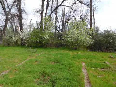 7007 Clover View Rd, Anderson, CA 96007 photo 15