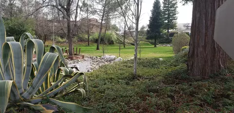 443 Red Cedar Dr, Redding, CA 96003 photo 22