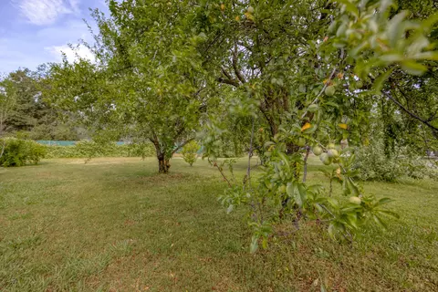 20202 Blue Jay Dr, Redding, CA 96002 photo 6