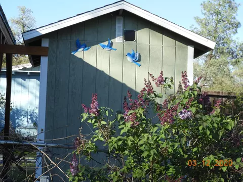 12011 Lake Blvd, Redding, CA 96003 photo 27