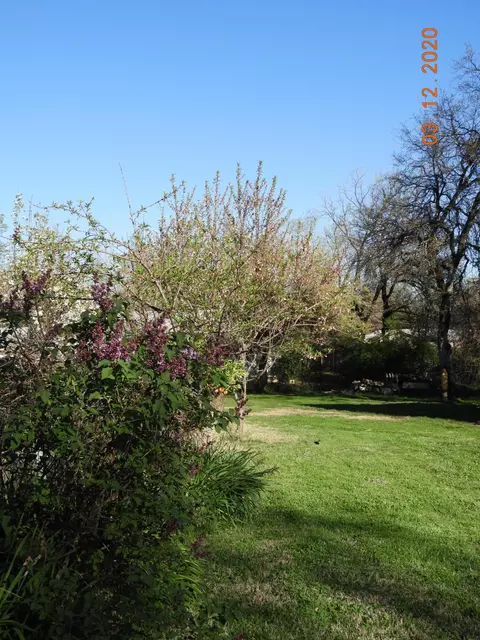 12011 Lake Blvd, Redding, CA 96003 photo 26