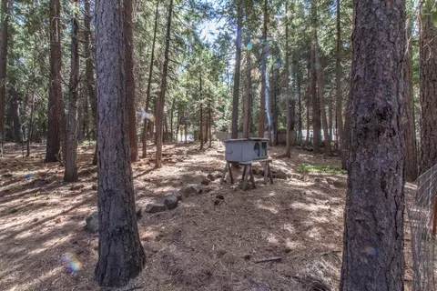 33795 Meteorite Way, Shingletown, CA 96088 photo 25