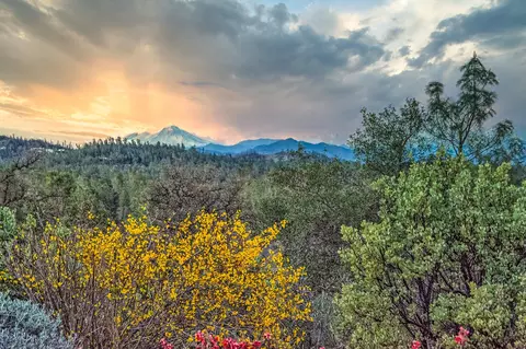 7897 Deer Hollow Ct, Redding, CA 96001 photo 3